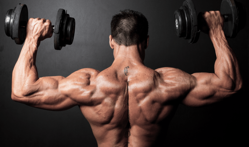 BODYBUILDING COACHING